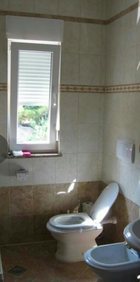 Apartmán Dana